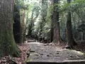 熊野古道　大門坂の写真_204558