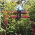 來宮神社の写真_204831