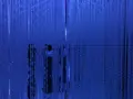 【閉業】森ビルデジタルアートミュージアム：エプソン チームラボボーダレス（MORI Building Digital Art Museum: EPSON teamLab Borderless）の写真_205057