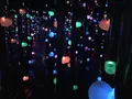 【閉業】森ビルデジタルアートミュージアム：エプソン チームラボボーダレス（MORI Building Digital Art Museum: EPSON teamLab Borderless）の写真_205063