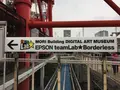 【閉業】森ビルデジタルアートミュージアム：エプソン チームラボボーダレス（MORI Building Digital Art Museum: EPSON teamLab Borderless）の写真_205069