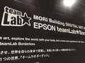 【閉業】森ビルデジタルアートミュージアム：エプソン チームラボボーダレス（MORI Building Digital Art Museum: EPSON teamLab Borderless）の写真_205071