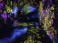 【閉業】森ビルデジタルアートミュージアム：エプソン チームラボボーダレス（MORI Building Digital Art Museum: EPSON teamLab Borderless）の写真_205077