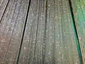 【閉業】森ビルデジタルアートミュージアム：エプソン チームラボボーダレス（MORI Building Digital Art Museum: EPSON teamLab Borderless）の写真_205081