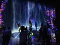 【閉業】森ビルデジタルアートミュージアム：エプソン チームラボボーダレス（MORI Building Digital Art Museum: EPSON teamLab Borderless）の写真_205084