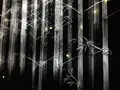 【閉業】森ビルデジタルアートミュージアム：エプソン チームラボボーダレス（MORI Building Digital Art Museum: EPSON teamLab Borderless）の写真_205087