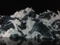 【閉業】森ビルデジタルアートミュージアム：エプソン チームラボボーダレス（MORI Building Digital Art Museum: EPSON teamLab Borderless）の写真_205088