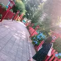 川越八幡宮の写真_205124