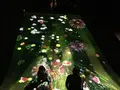 【閉業】森ビルデジタルアートミュージアム：エプソン チームラボボーダレス（MORI Building Digital Art Museum: EPSON teamLab Borderless）の写真_205128
