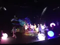 【閉業】森ビルデジタルアートミュージアム：エプソン チームラボボーダレス（MORI Building Digital Art Museum: EPSON teamLab Borderless）の写真_205131