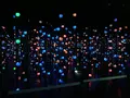 【閉業】森ビルデジタルアートミュージアム：エプソン チームラボボーダレス（MORI Building Digital Art Museum: EPSON teamLab Borderless）の写真_205132