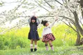 粟嶋公園の写真_205271
