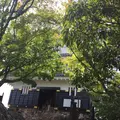 金華山の写真_205381