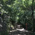 金華山の写真_205383