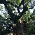 熱田神宮の写真_205478