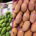新世紀水果店の写真_205708