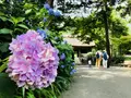 阿弥陀寺の写真_205884