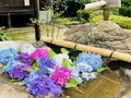 阿弥陀寺の写真_205887