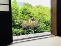 阿弥陀寺の写真_205888