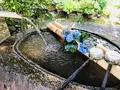 阿弥陀寺の写真_205891