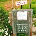 Cafe スロープの写真_205913