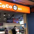 CoCo都可の写真_205976