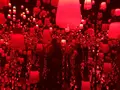 【閉業】森ビルデジタルアートミュージアム：エプソン チームラボボーダレス（MORI Building Digital Art Museum: EPSON teamLab Borderless）の写真_205985