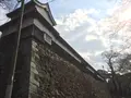 福岡城跡の写真_20607
