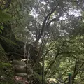 岩井観音の写真_206256