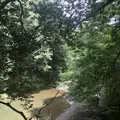 岩井観音の写真_206260