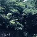 岩蔵鉱泉の写真_206265