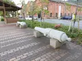 アレイからすこじま公園の写真_206953