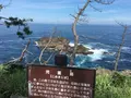 御崎神社の写真_206990