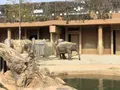 東山動物園の写真_207005