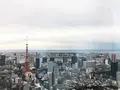 ザ・リッツ・カールトン東京の写真_207197