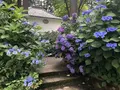 真如堂（真正極楽寺）の写真_207324
