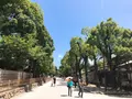 鶴岡八幡宮の写真_207466
