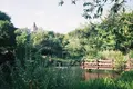 ハイジの村（旧 山梨県フラワーセンター）の写真_207671