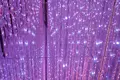 チームラボプラネッツ TOKYO (teamLab Planets TOKYO) DMMの写真_208306