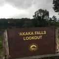 アカカ滝の写真_208452