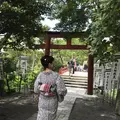 鶴岡八幡宮の写真_208468