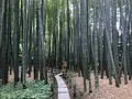 報国寺（竹寺）の写真_208498