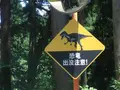 野外恐竜博物館の写真_208696