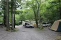 道志の森キャンプ場の写真_209051