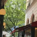 アニヴェルセル カフェ 表参道の写真_209107