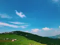 四国カルスト高原放牧場の写真_209129