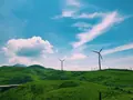四国カルスト高原放牧場の写真_209130