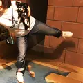 那須とりっくあーとぴあの写真_209299