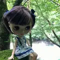 抱返り渓谷の写真_209357