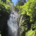 抱返り渓谷の写真_209359
